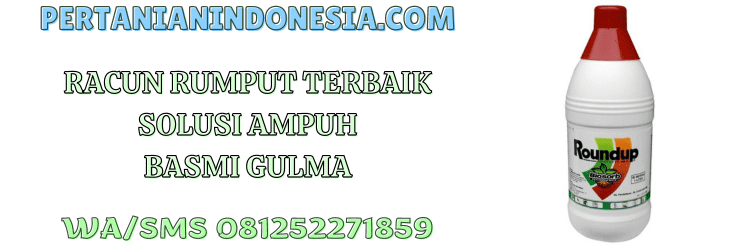 racun,rumput,terbaik,rumput liar,obat rumput,pertanian indonesia